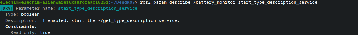 ros2 param describe colorized output